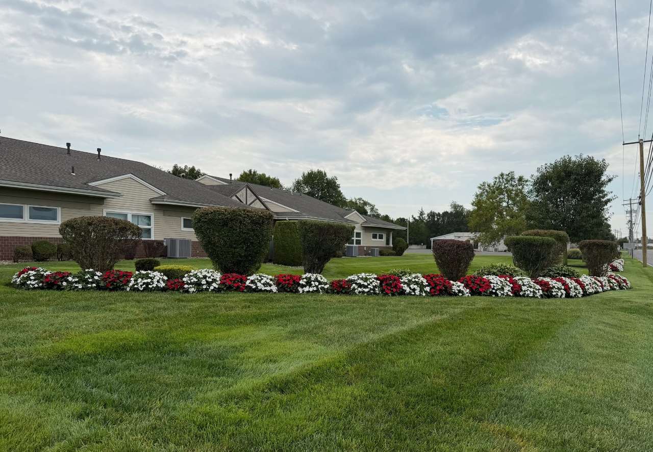 Striped lawn and red and white beds at a residential community