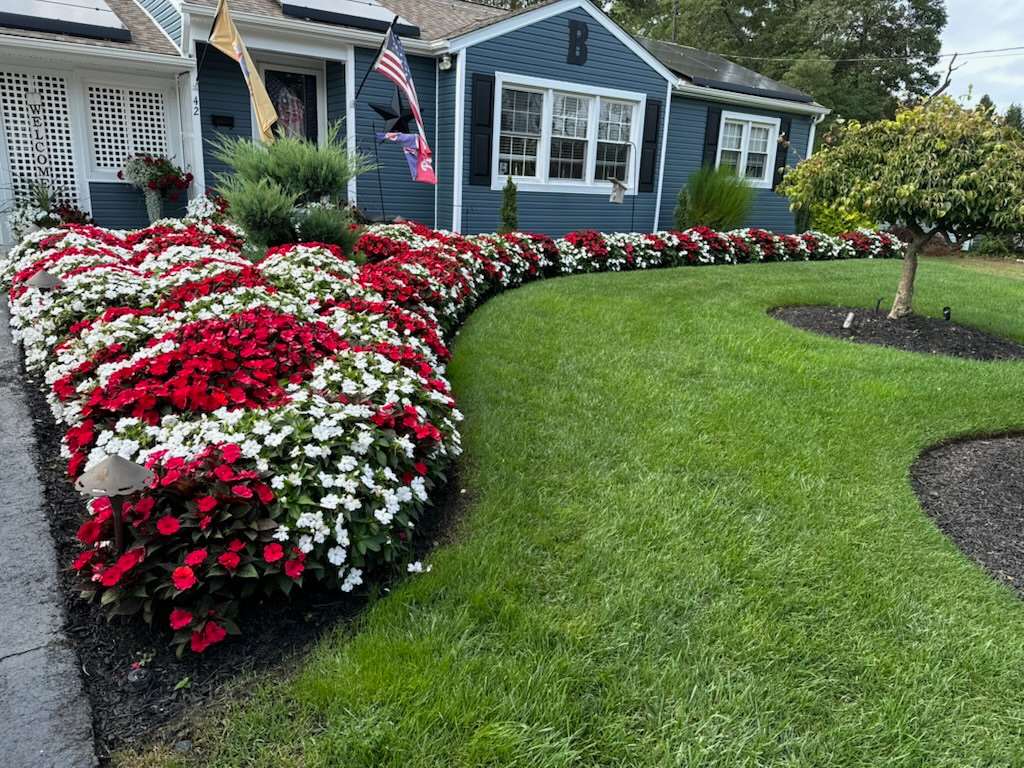 Red and white annual flower bed in full color